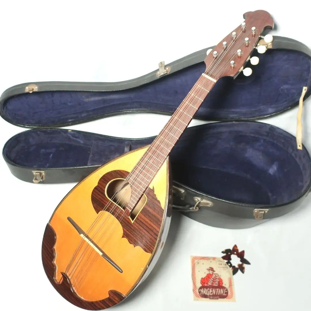 2026年最新】石川マンドリンの人気アイテム - メルカリ