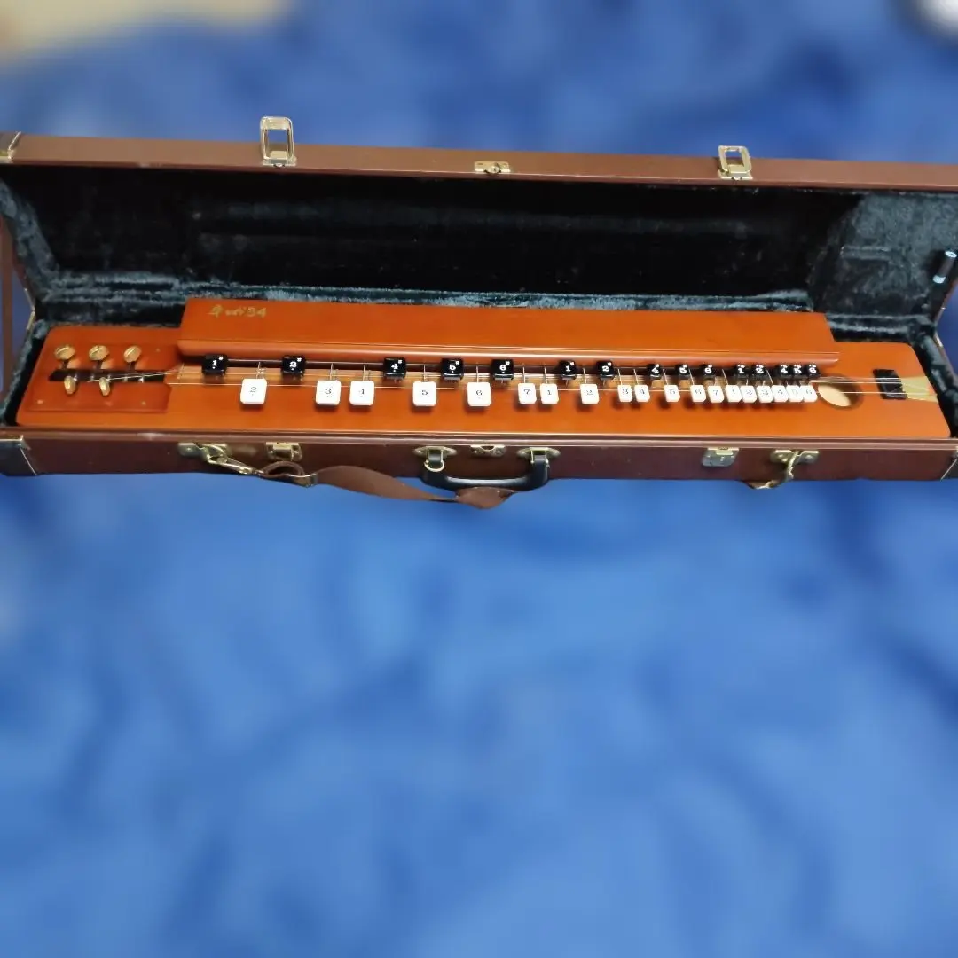 2026年最新】大正琴 ヤマハの人気アイテム - メルカリ