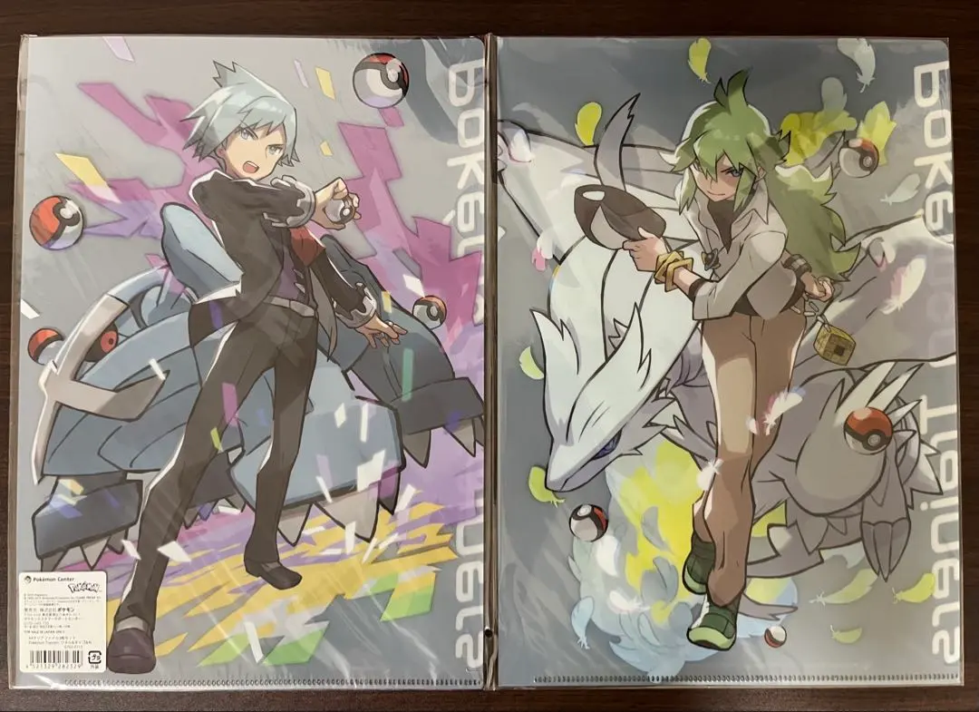 2026年最新】ポケモン ダイゴ ワタル クリアファイルの人気アイテム