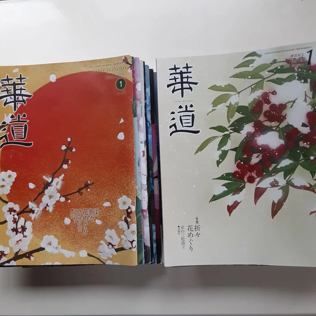 2026年最新】華道家元池坊の人気アイテム - メルカリ