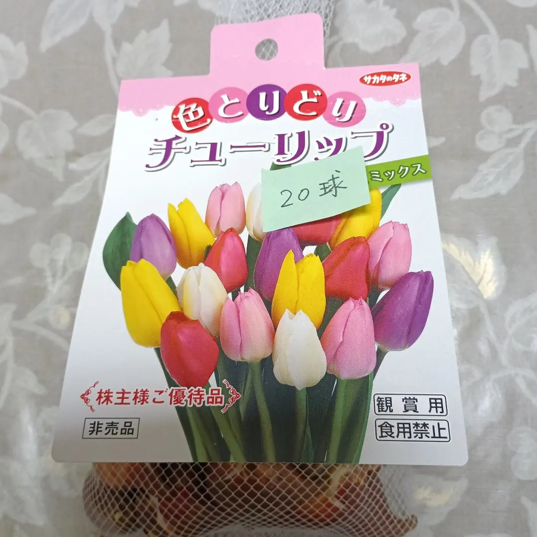 2026年最新】サカタのタネ 株主優待の人気アイテム - メルカリ