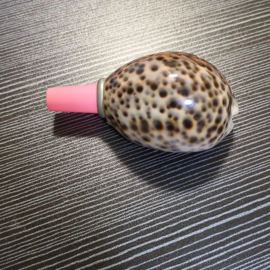 2026年最新】ほら貝 笛の人気アイテム - メルカリ