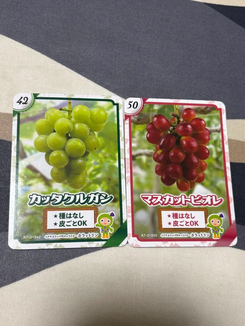 2026年最新】生坂村 カードの人気アイテム - メルカリ