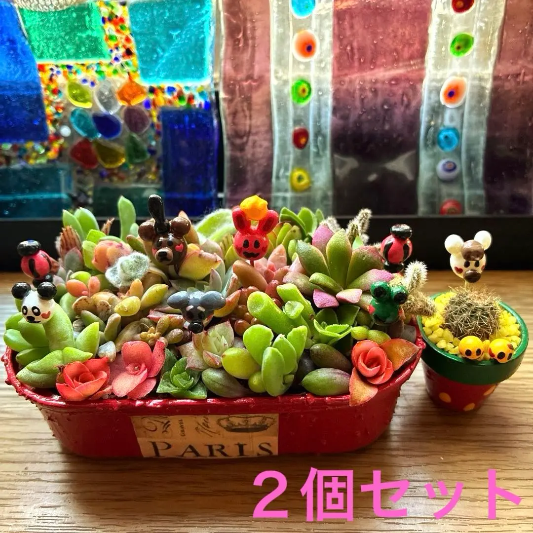 2026年最新】サボテン 世界の図の人気アイテム - メルカリ