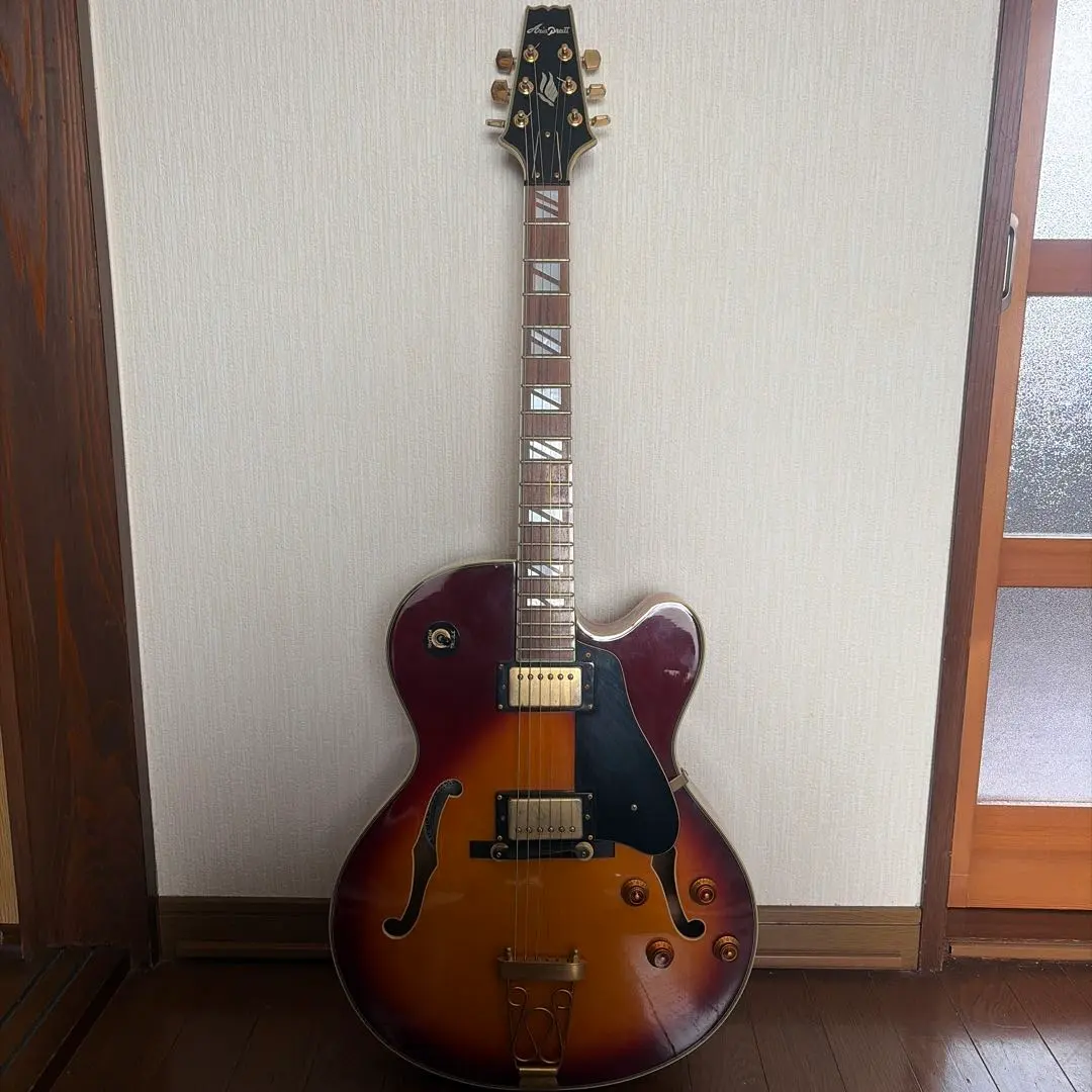 2026年最新】aria フルアコの人気アイテム - メルカリ