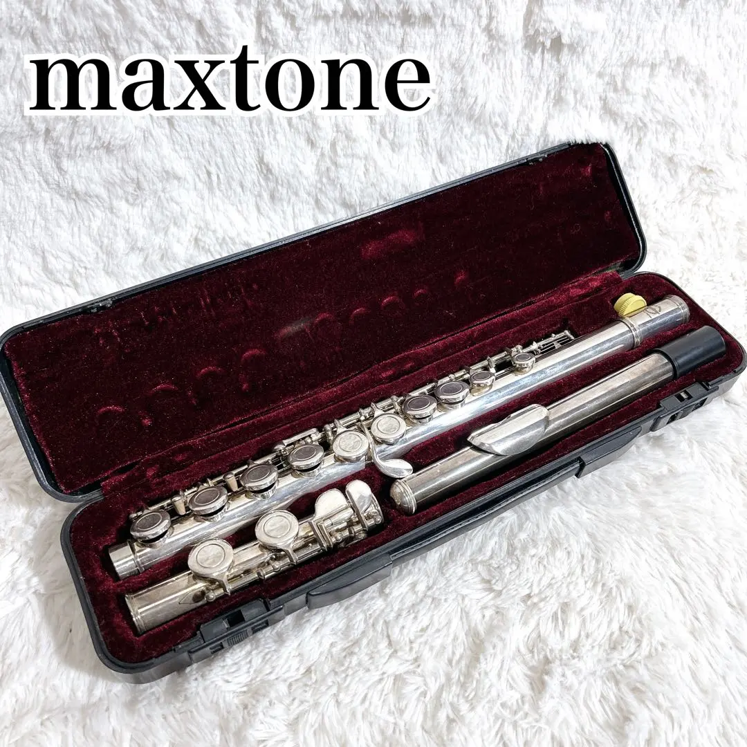 2026年最新】Maxtone フルートの人気アイテム - メルカリ