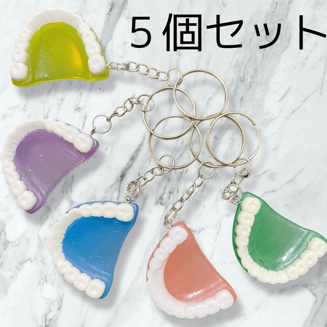 2026年最新】顎模型ホルダーの人気アイテム - メルカリ