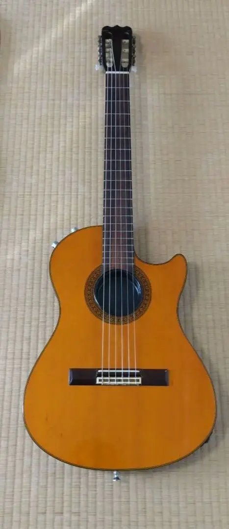 2026年最新】vester maniac エレキギターの人気アイテム - メルカリ