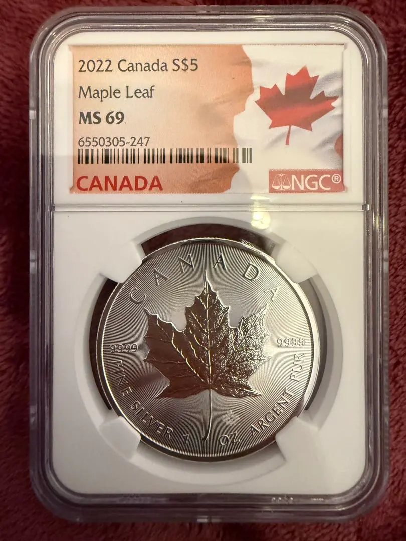 2026年最新】メープルリーフ 1オンスの人気アイテム - メルカリ