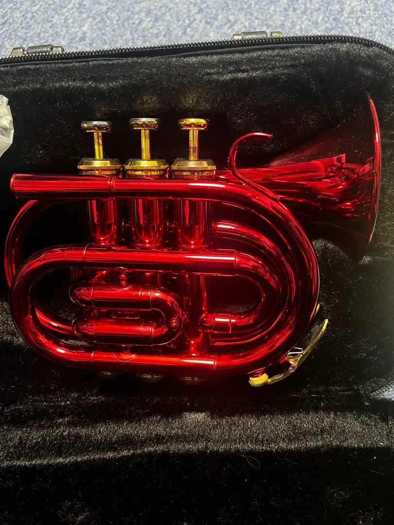 2026年最新】j.michael ポケットトランペットの人気アイテム - メルカリ