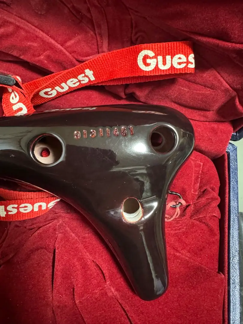 2026年最新】オカリナライリッシュの人気アイテム - メルカリ