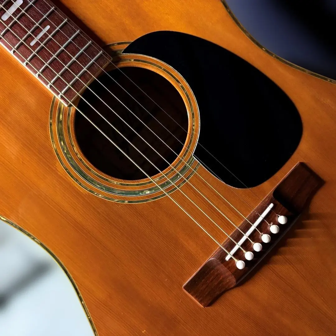 2026年最新】トムソンギターの人気アイテム - メルカリ