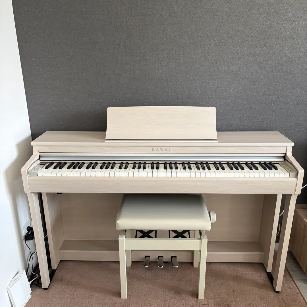 2026年最新】電子ピアノ カワイ cn201の人気アイテム - メルカリ