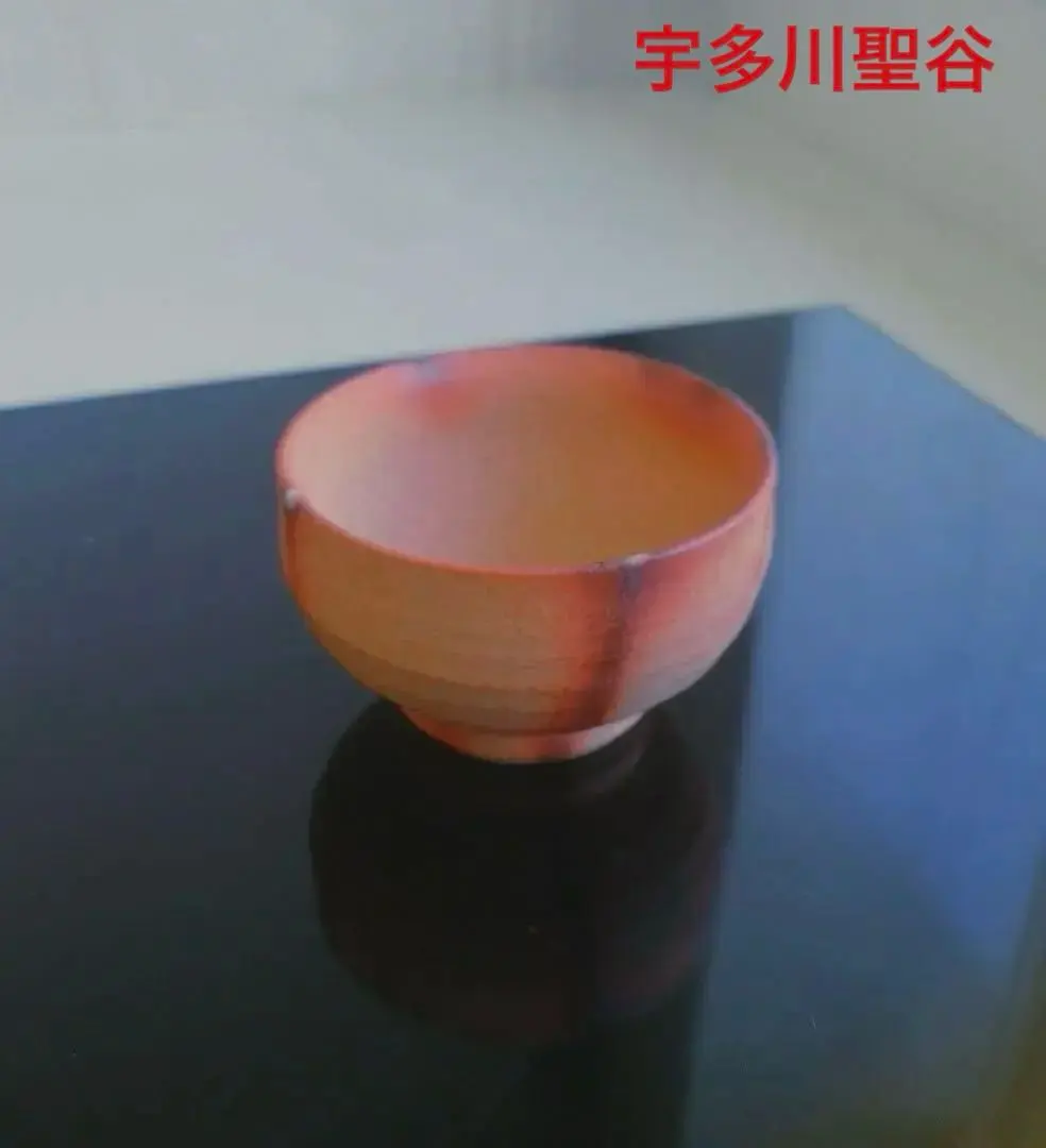 2026年最新】宇田川聖谷の人気アイテム - メルカリ