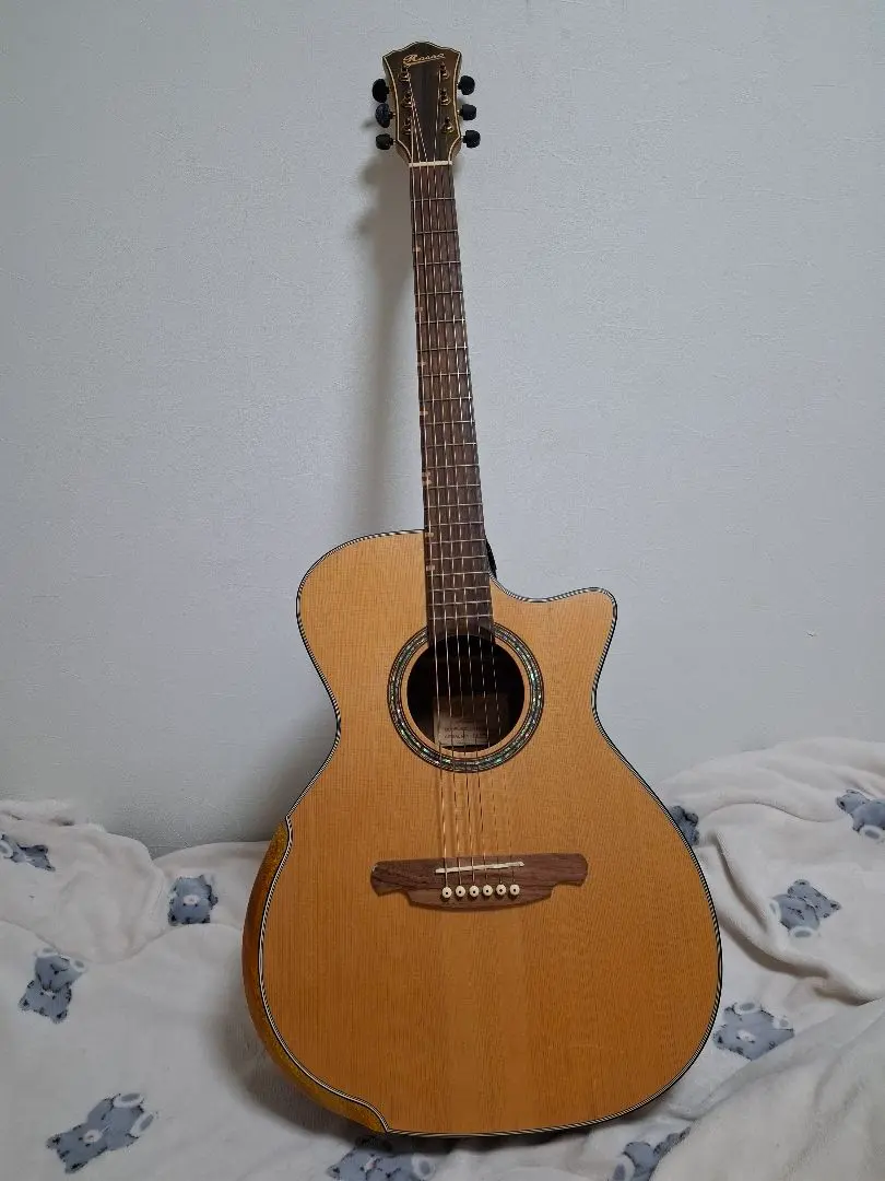 2026年最新】ROSSO 楽器・機材の人気アイテム - メルカリ