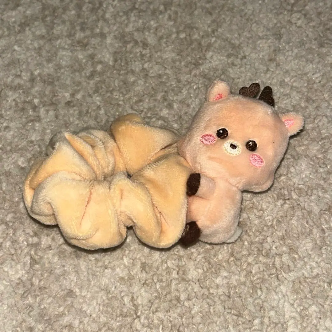 2026年最新】riize ソンチャン シュシュの人気アイテム - メルカリ