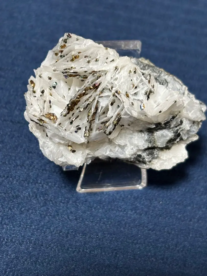 2026年最新】ホワイトローズカルサイトの人気アイテム - メルカリ