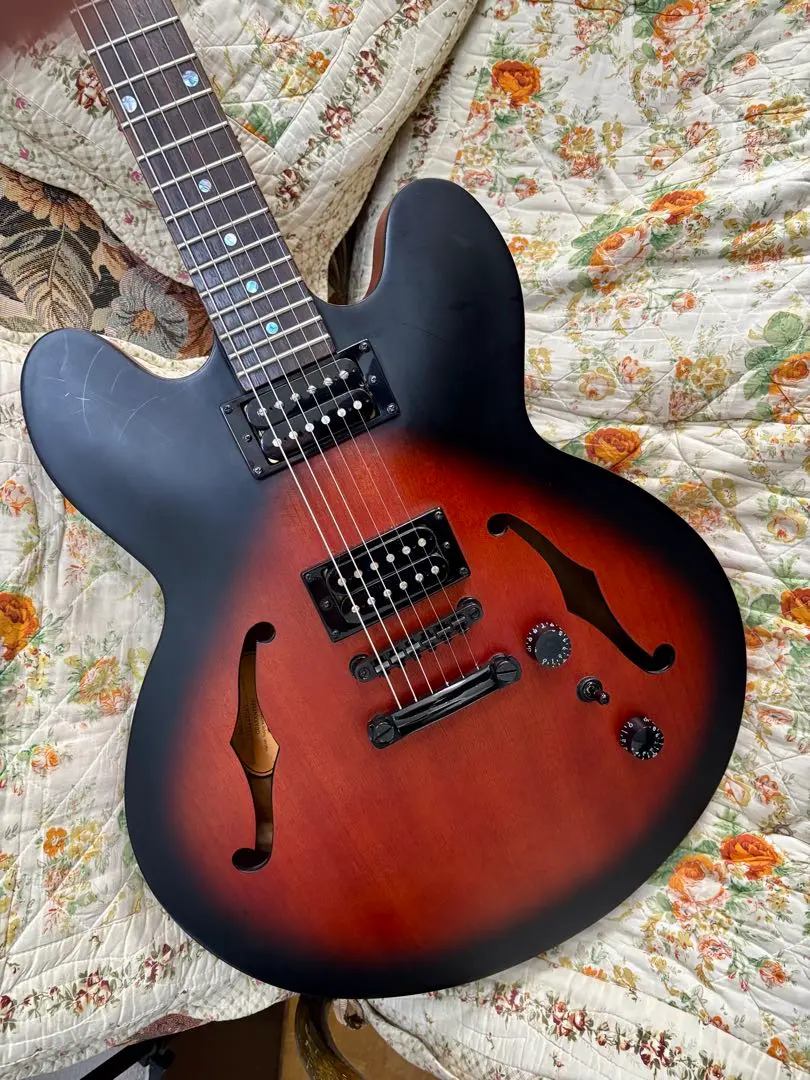 2026年最新】epiphone dot 335の人気アイテム - メルカリ
