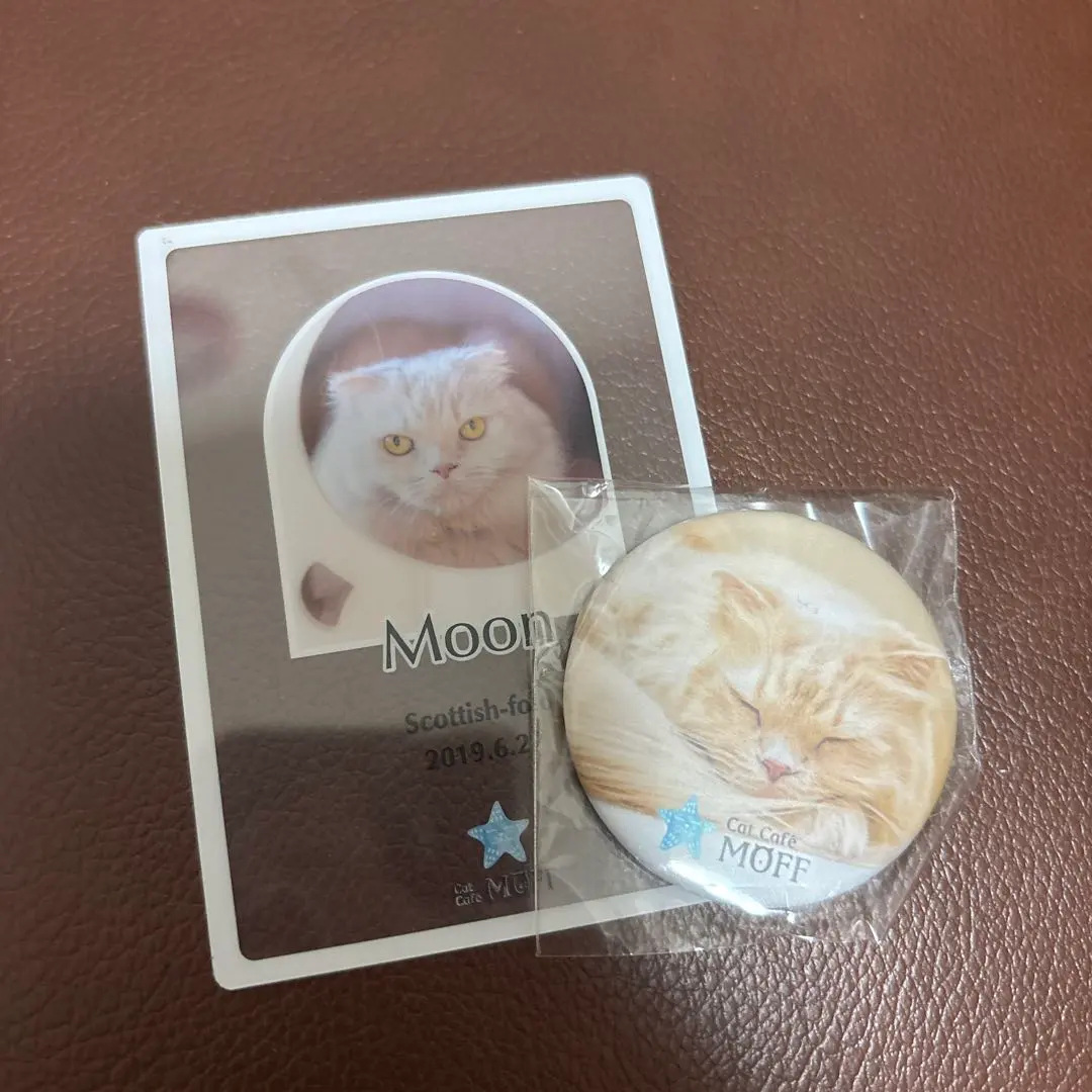 2026年最新】猫カフェ moffの人気アイテム - メルカリ