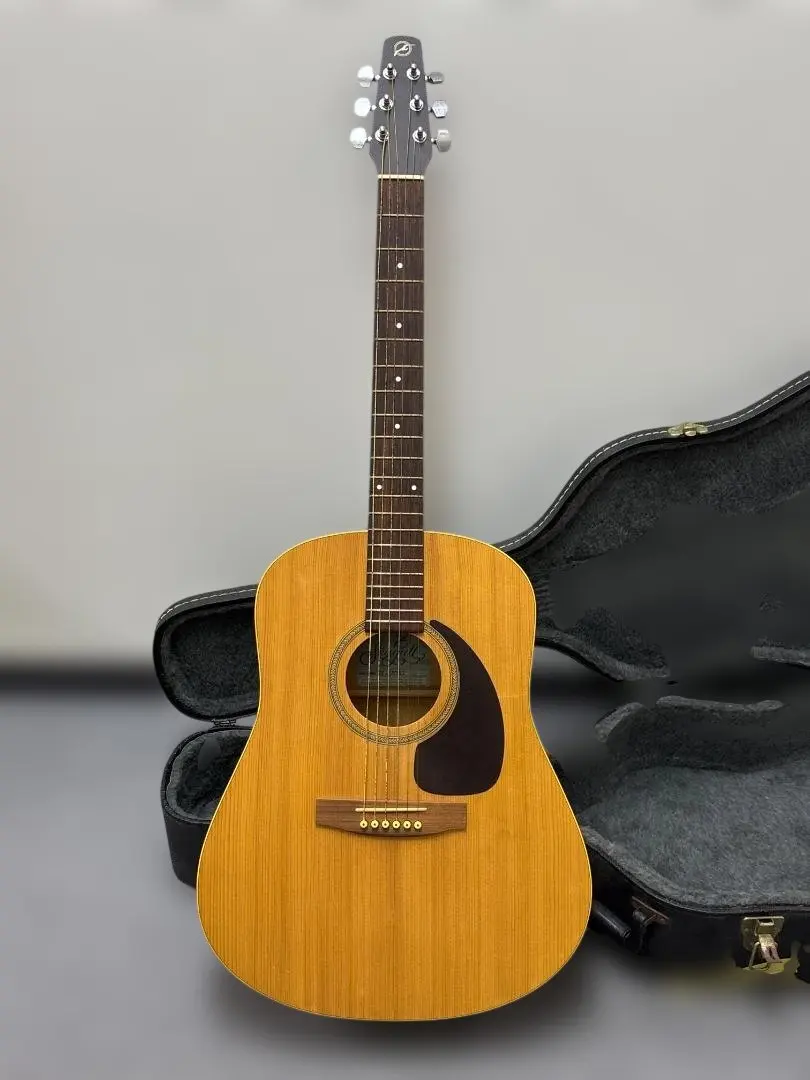 2026年最新】シーガル ギターの人気アイテム - メルカリ