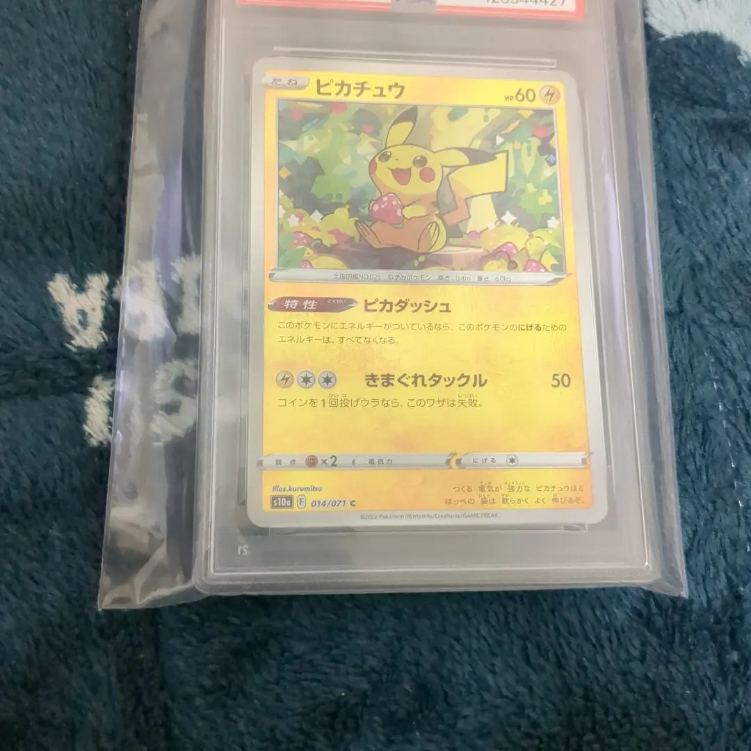 2026年最新】ポケパークのピカチュウ psa9の人気アイテム - メルカリ