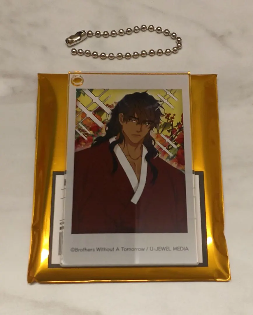 2026年最新】今日だけを生きる兄弟の人気アイテム - メルカリ