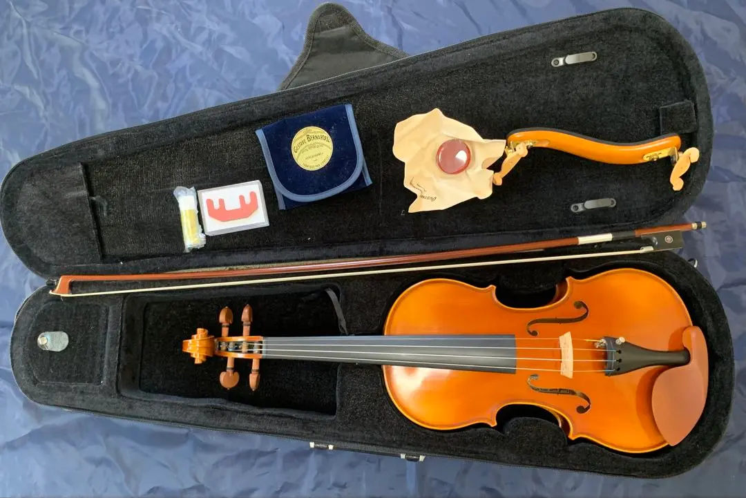 2026年最新】gliga バイオリンの人気アイテム - メルカリ