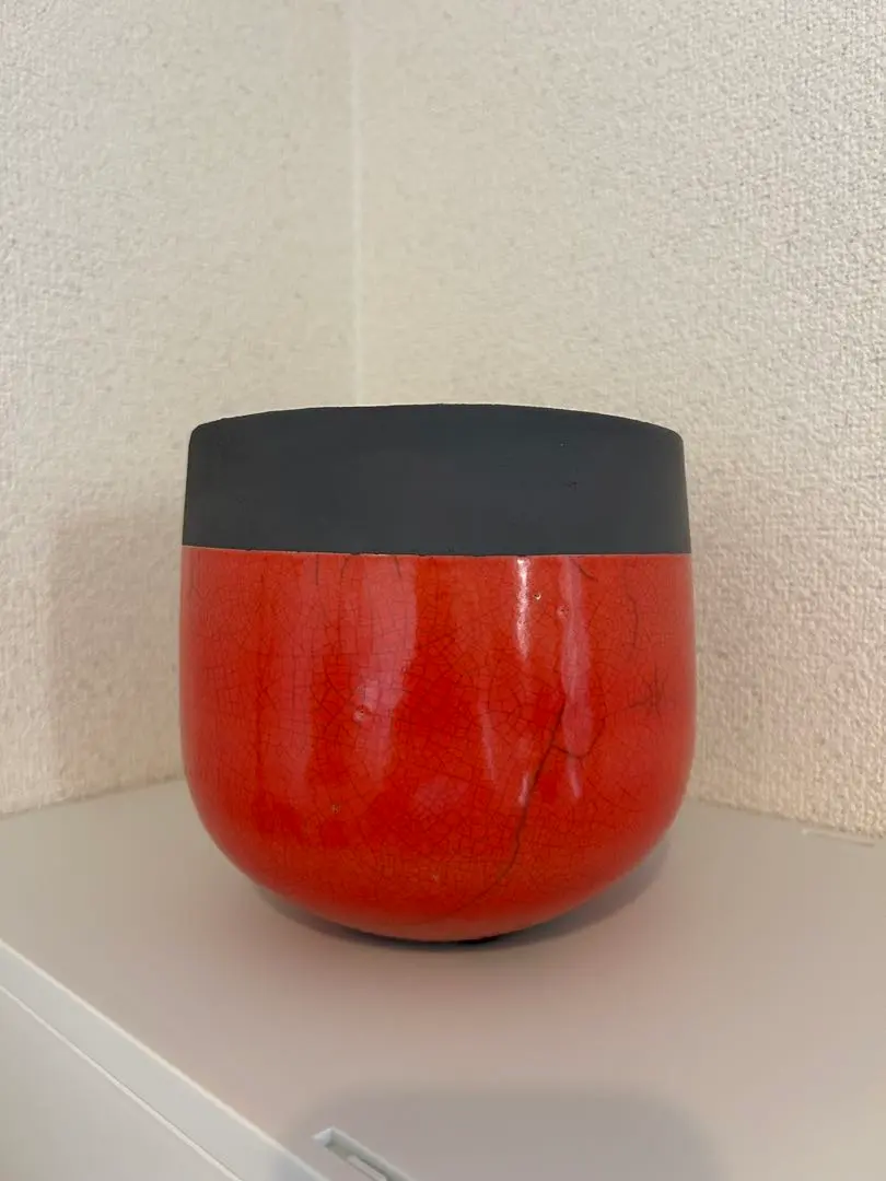 2026年最新】domani ドマーニ 鉢の人気アイテム - メルカリ