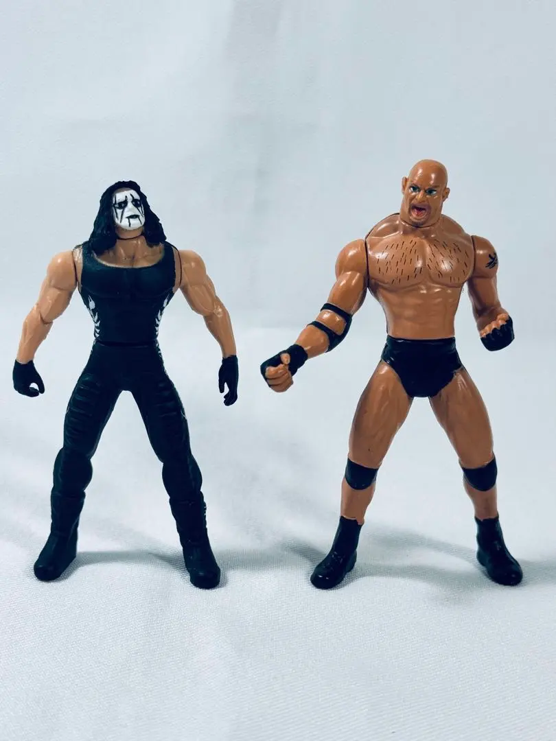 2026年最新】WCW スティングの人気アイテム - メルカリ