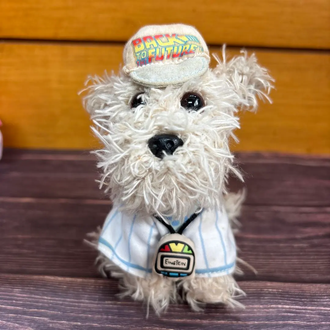 2026年最新】アインシュタインUSJの人気アイテム - メルカリ