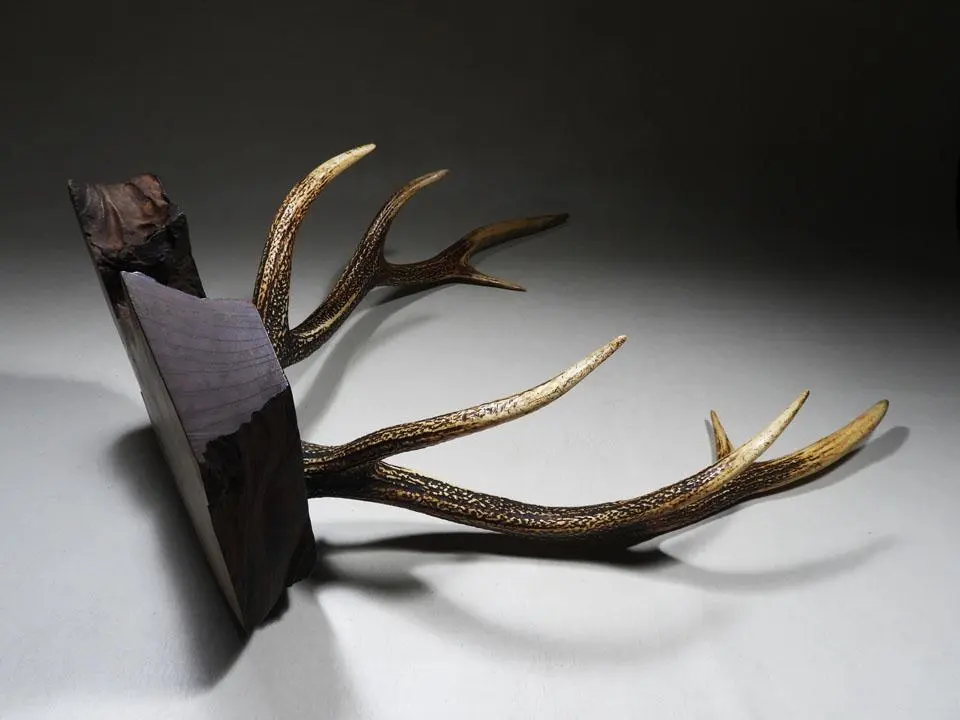 2026年最新】鹿角刀掛けの人気アイテム - メルカリ