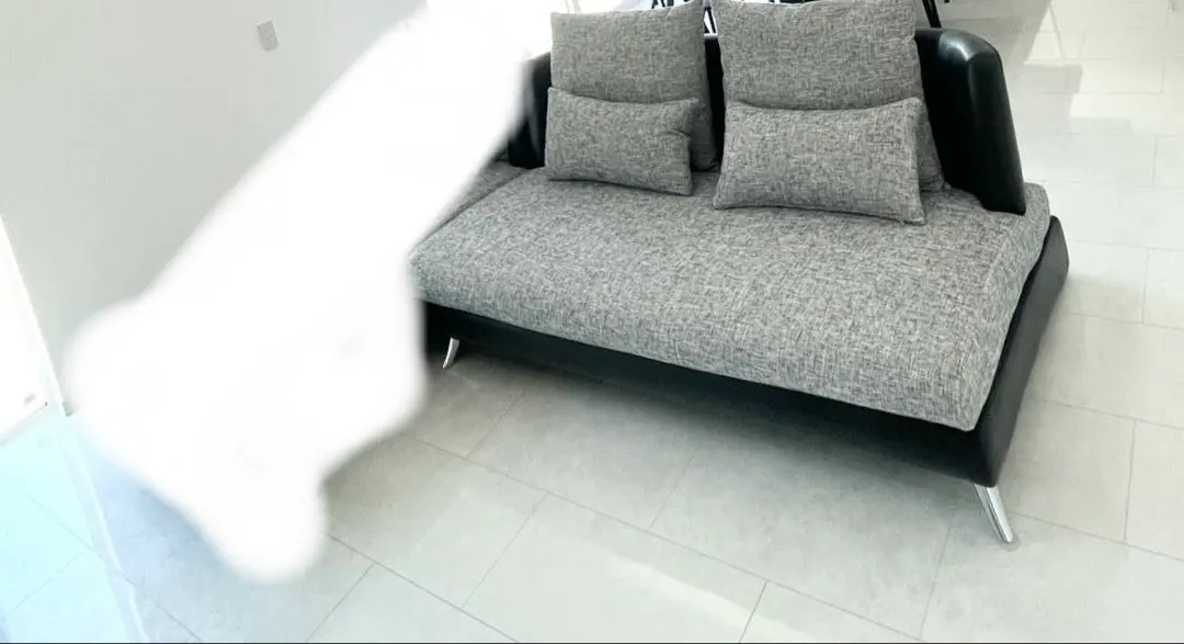 2026年最新】bella armoniaの人気アイテム - メルカリ