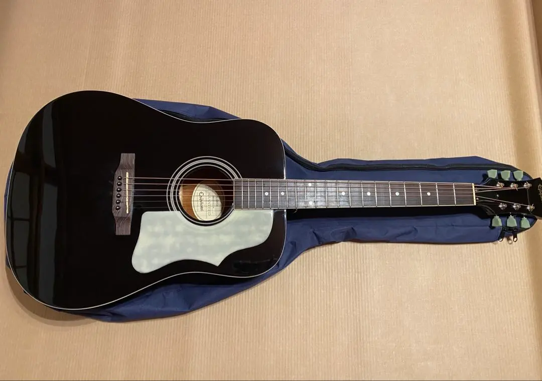 2026年最新】epiphone dr-100の人気アイテム - メルカリ