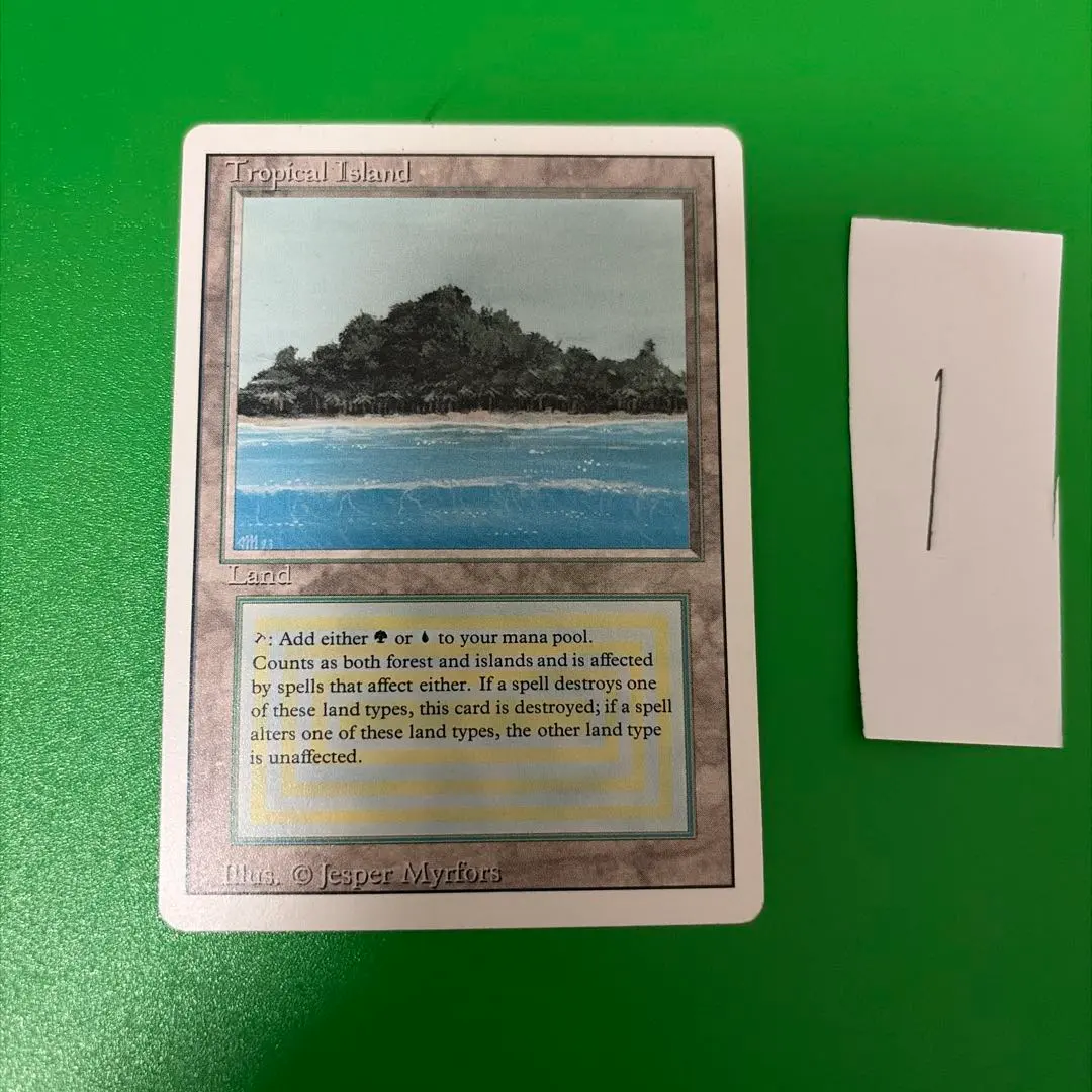 2026年最新】Tropical island mtgの人気アイテム - メルカリ
