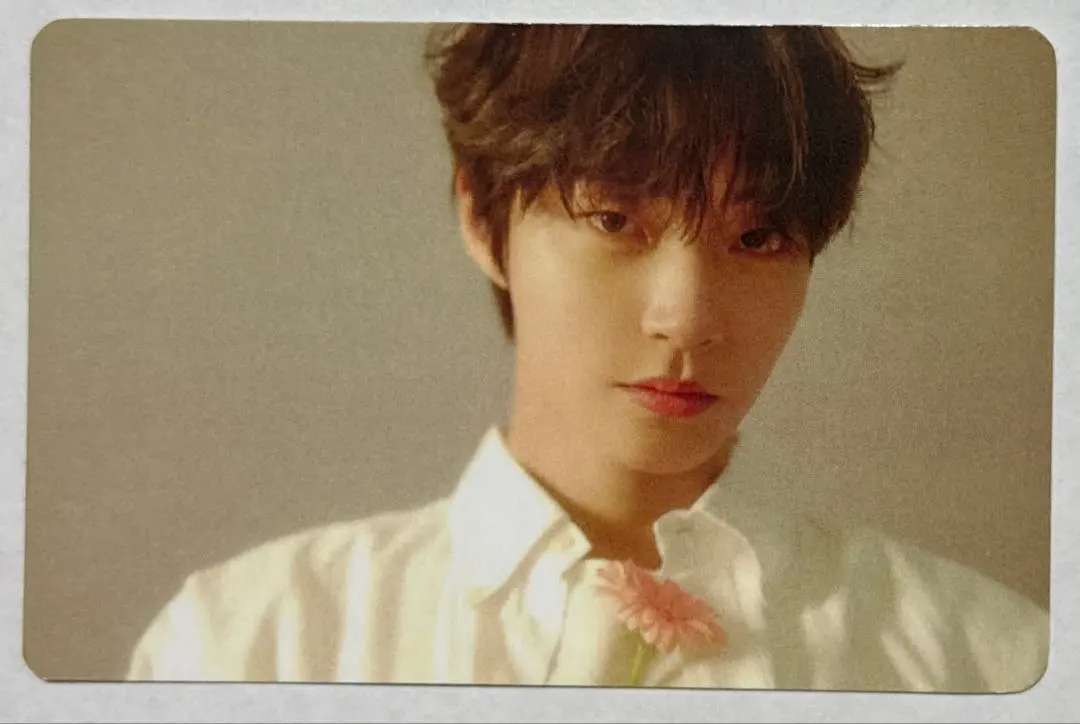 2026年最新】ファンイニョプ inの人気アイテム - メルカリ