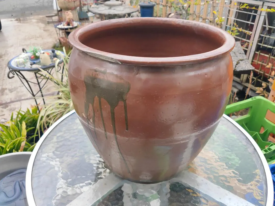 2026年最新】甕 メダカの人気アイテム - メルカリ