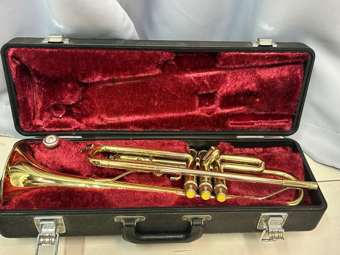 2026年最新】ytr 2310の人気アイテム - メルカリ