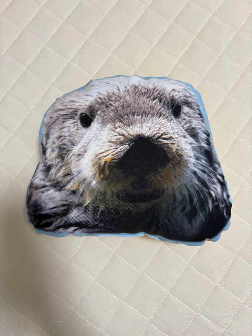 2026年最新】マリンワールド海の中道 リロの人気アイテム - メルカリ