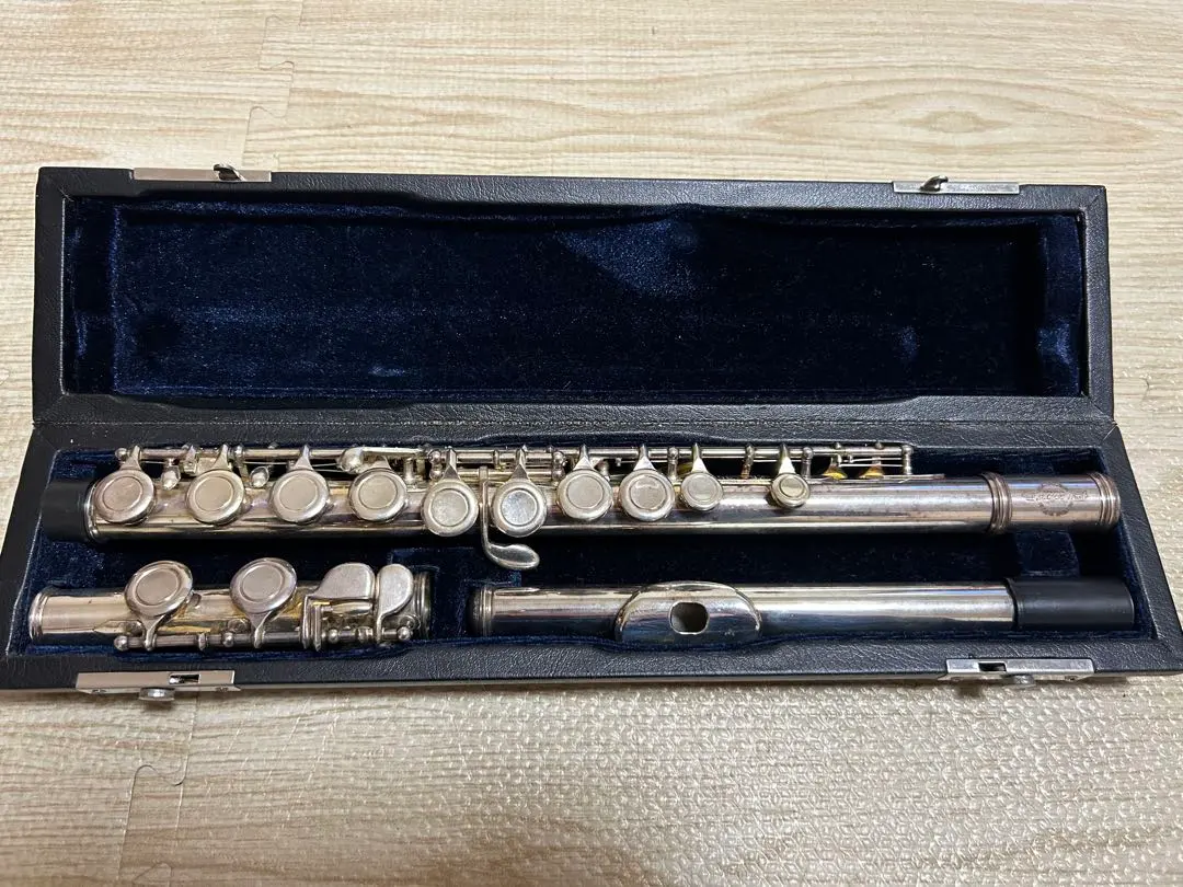 2026年最新】Maxtone フルートの人気アイテム - メルカリ
