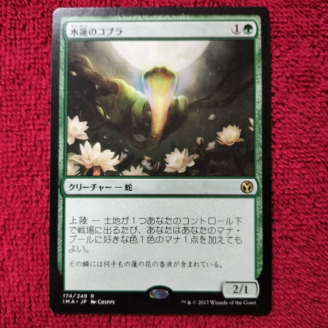 2026年最新】MTG 水蓮のコブラの人気アイテム - メルカリ