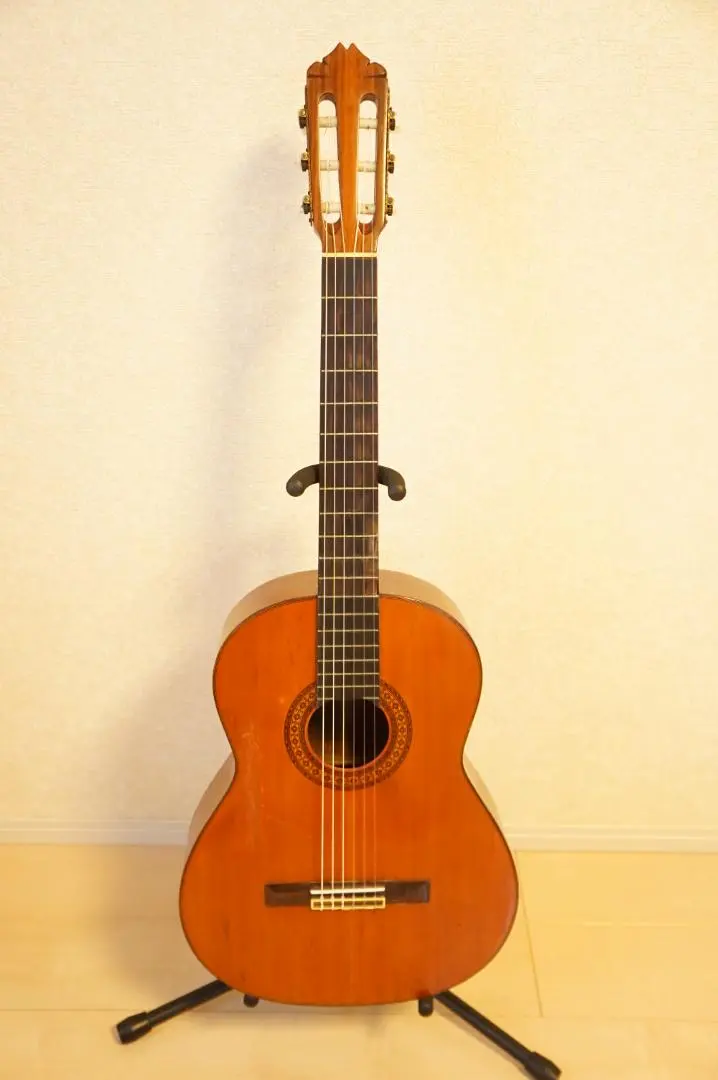 2026年最新】shinano guitarの人気アイテム - メルカリ