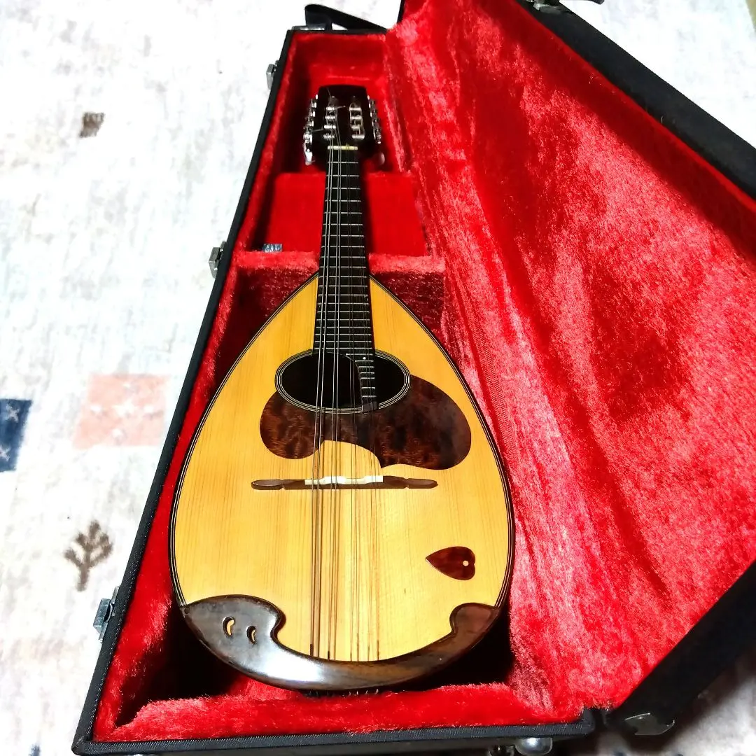 2026年最新】マンドリン M-30の人気アイテム - メルカリ