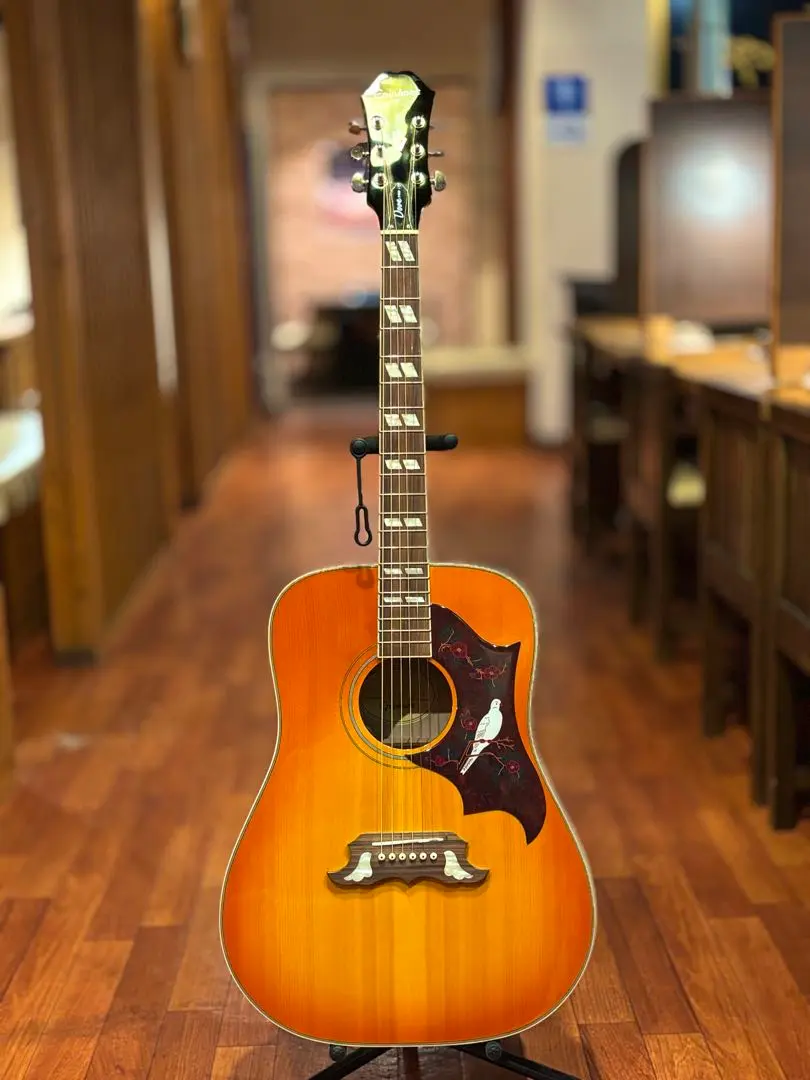 2026年最新】epiphone dove proの人気アイテム - メルカリ