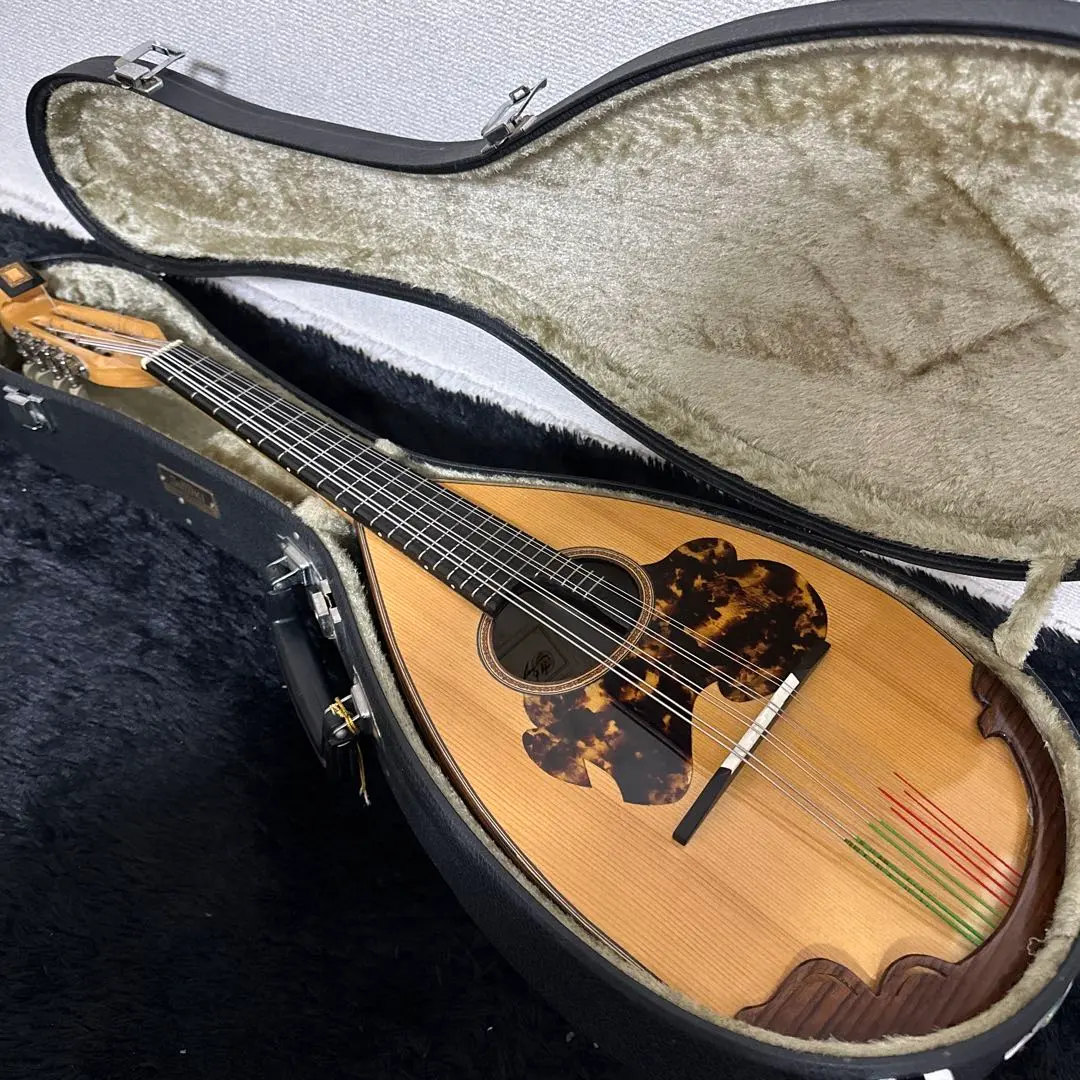 2026年最新】マンドリン s.watanabeの人気アイテム - メルカリ