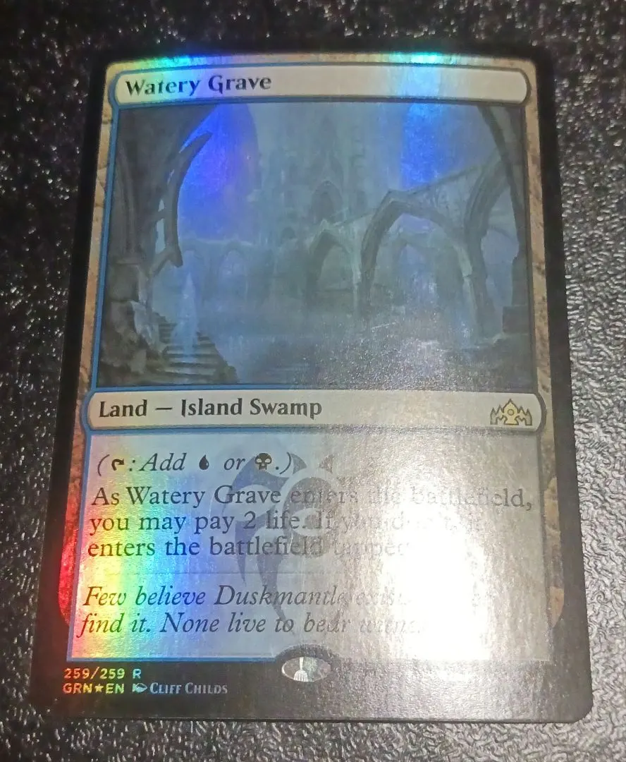 2026年最新】湿った墓 Foilの人気アイテム - メルカリ