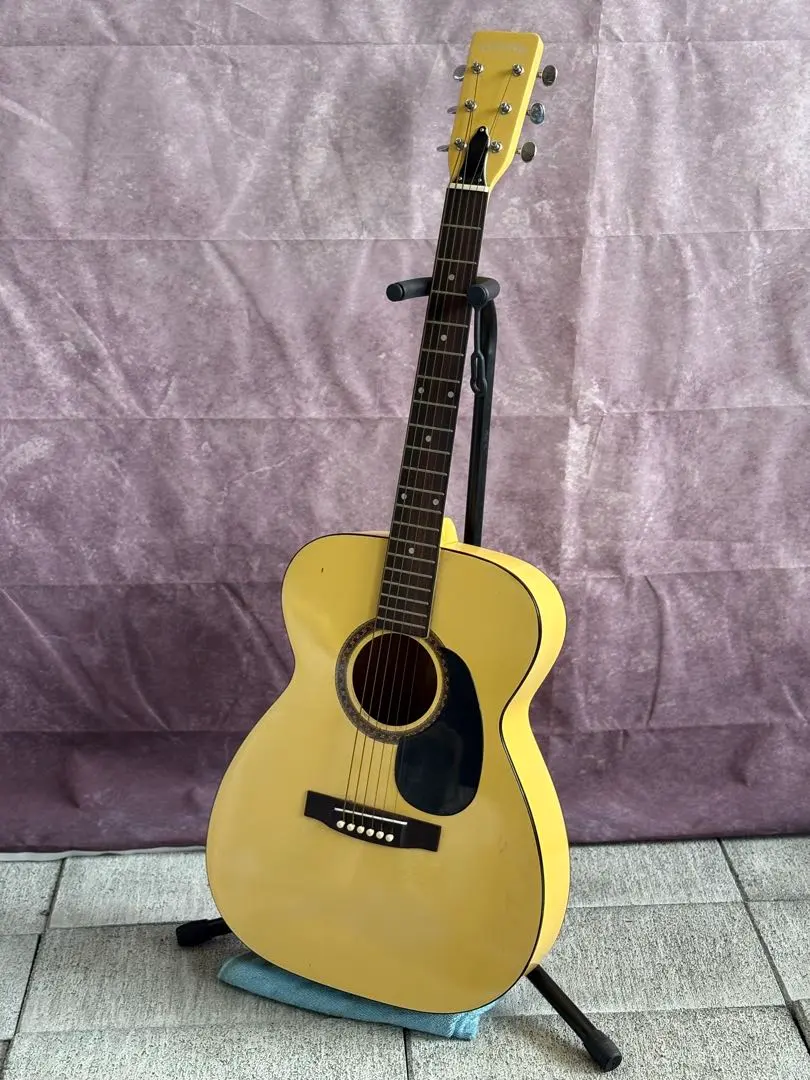 2026年最新】テレビジョッキー ギターの人気アイテム - メルカリ