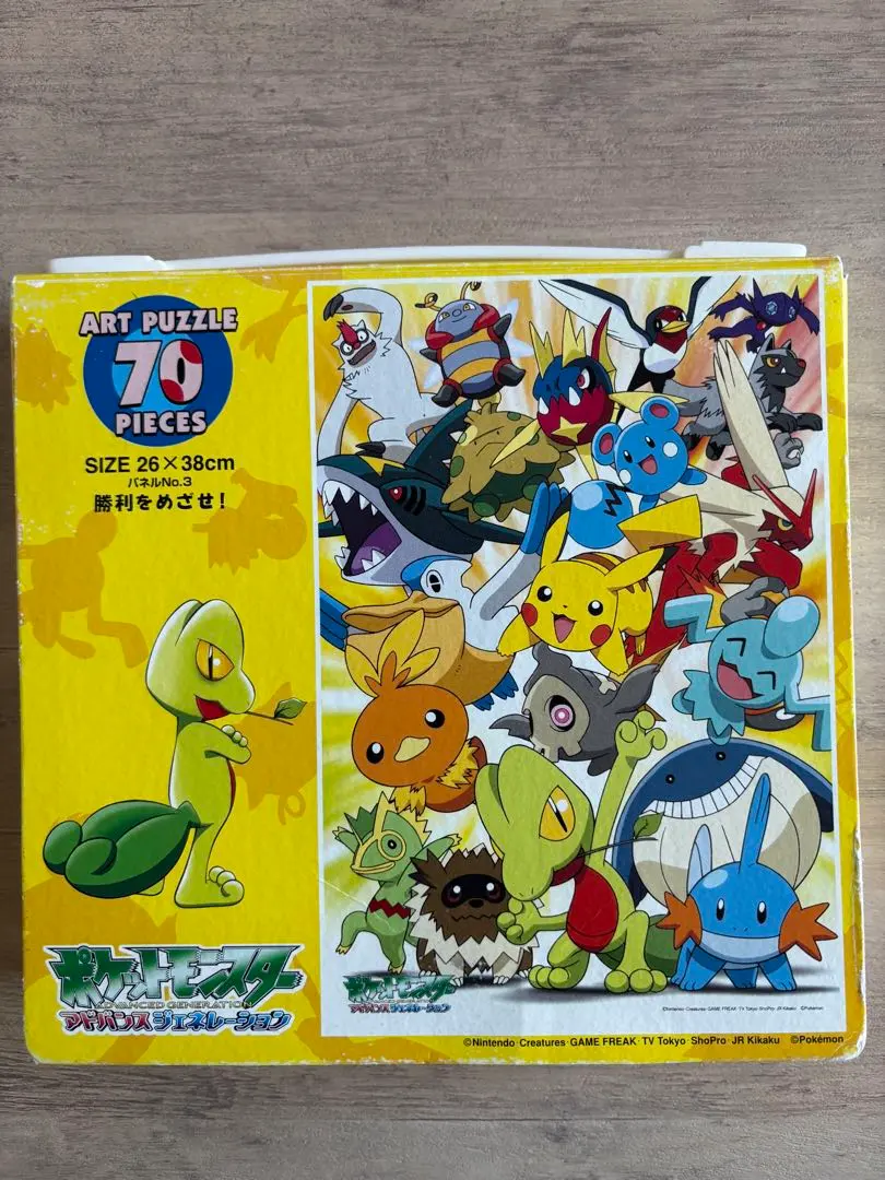 2026年最新】ポケットモンスター アドバンスジェネレーション かるたの