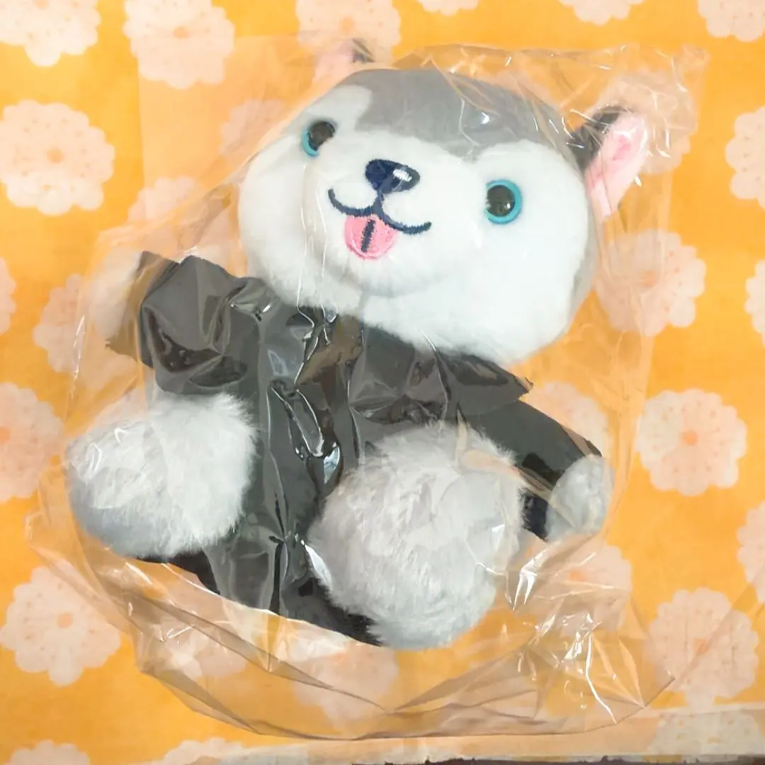 2026年最新】ノキドア 倒理犬の人気アイテム - メルカリ