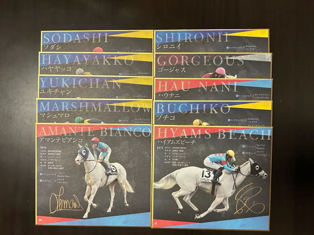 2026年最新】ブチコ 競馬の人気アイテム - メルカリ