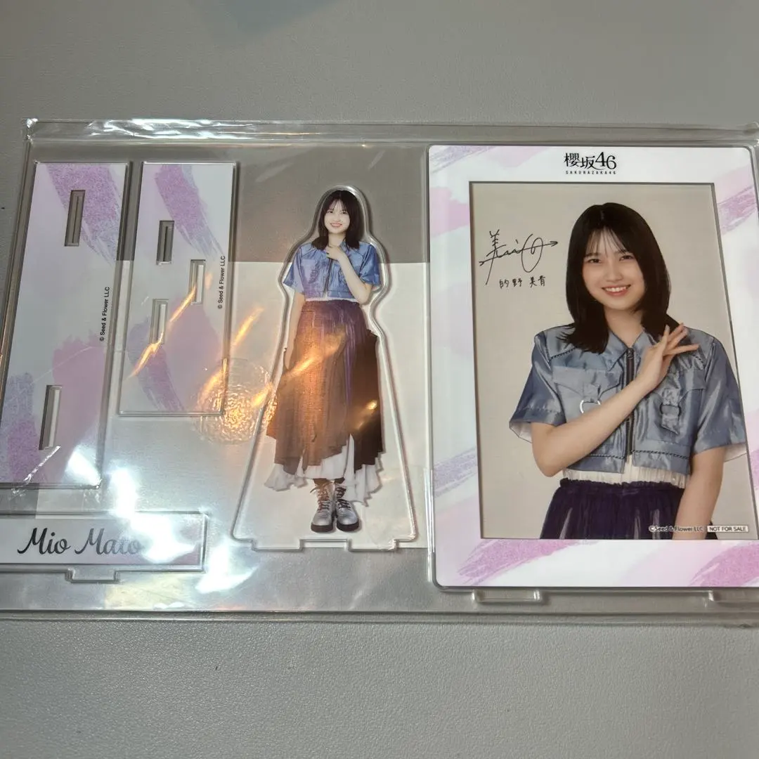 2026年最新】的野美青 サインの人気アイテム - メルカリ